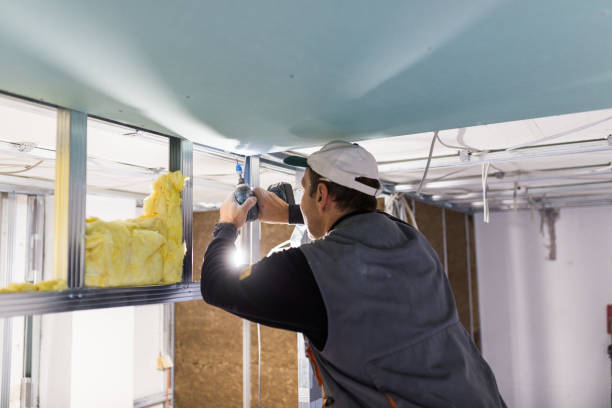 Best Cellulose Insulation in Owings Mills, MD