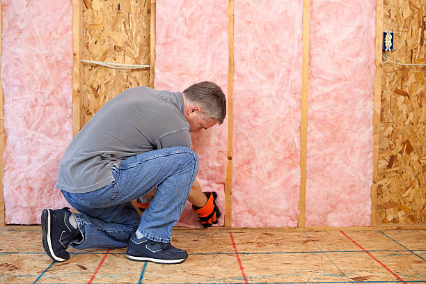 Professional Insulation Contractor in Owings Mills, MD