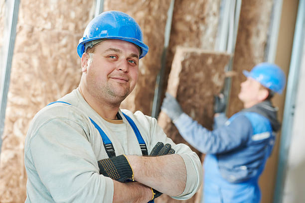 Best Specialized Insulation Services in Owings Mills, MD