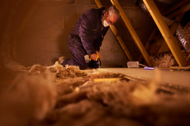 Types of Insulation We Offer in Owings Mills, MD